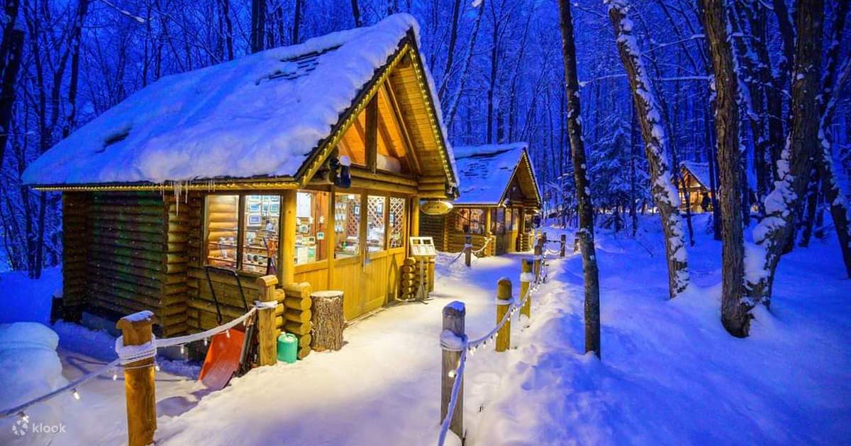 点灯の旅 富良野ニングルテラス＆美瑛青い池＆白ひげの滝 日帰りツアー